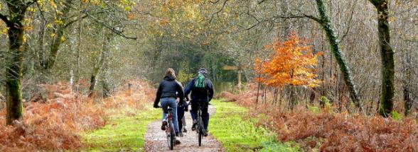 friends bike riding down a path into the woods - respect during recovery - victory addiction recovery center - addiction treatment facility in lafayette louisiana