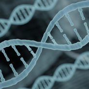 Is Addiction a Genetic Problem? Are You Doomed to Use?