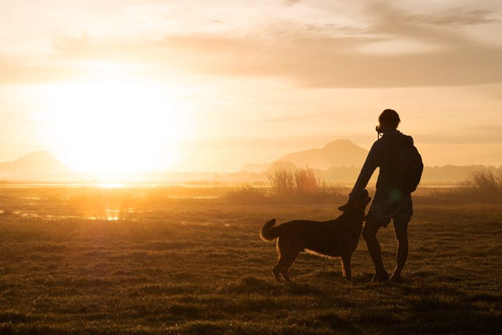 person walking their dog at dusk in rural area - nature
