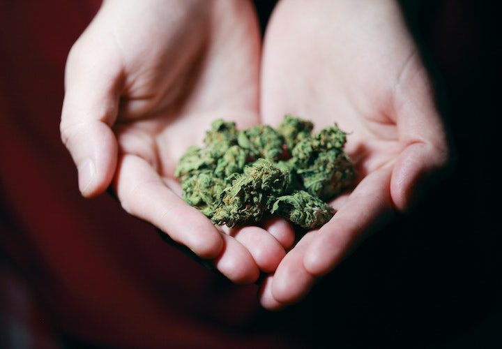hands marijuana cannabis addiction treatment